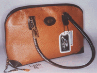 Ladies Handbag (LHB-8)